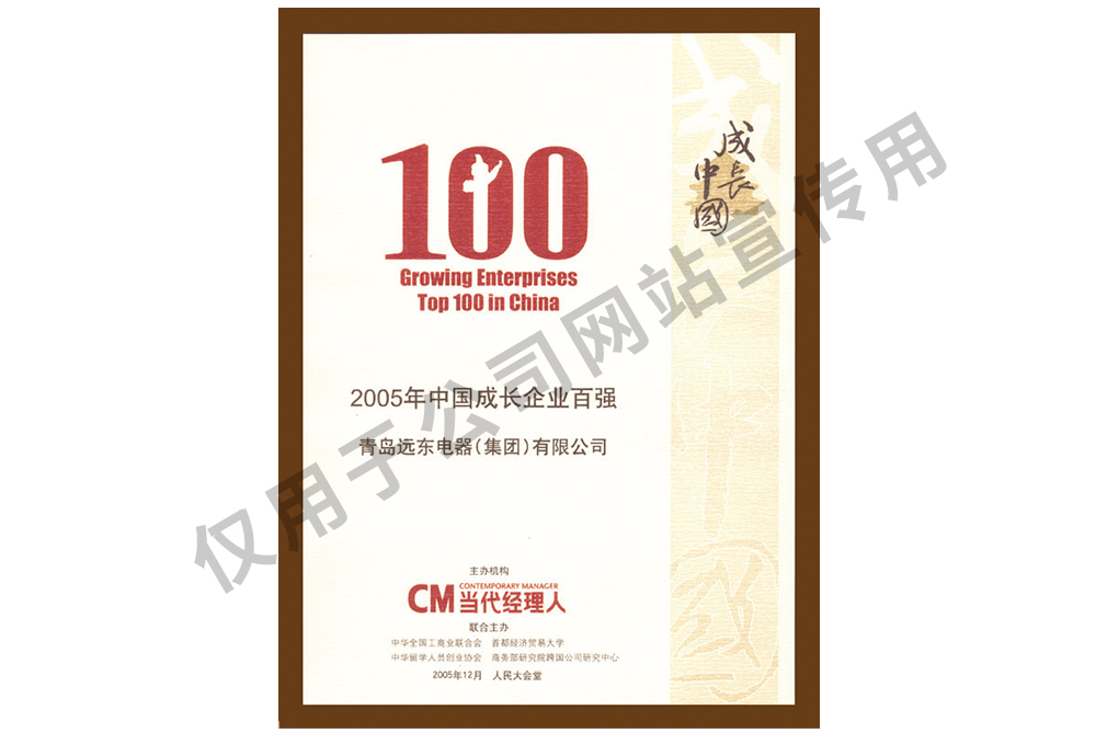 中國成長企業(yè)百強